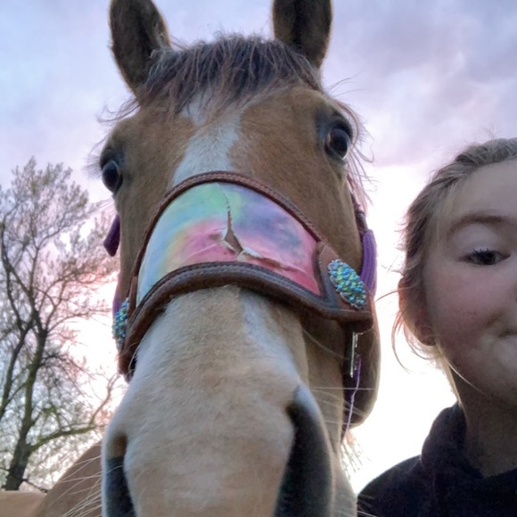 Meet your Posher, Caidynce - Picture 1 of 1